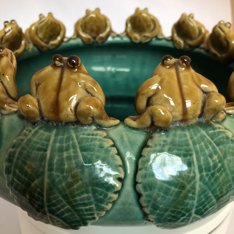 Coupe aux grenouilles