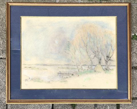 Effet de lumière en Brière par Ferdinand du Puigaudeau