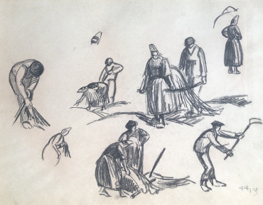 Étude de goémoniers