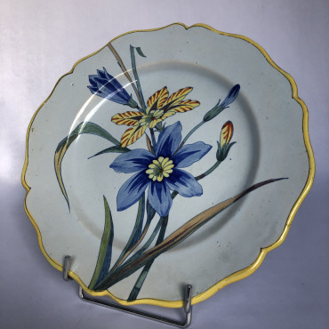 Assiette à décor d’ixias