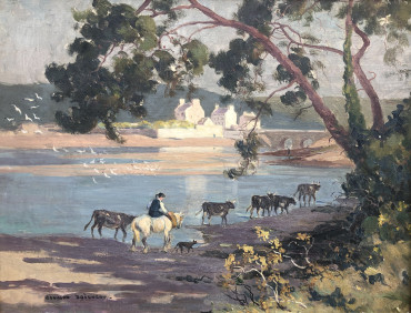 Retour du troupeau sur le bord de la rivière 